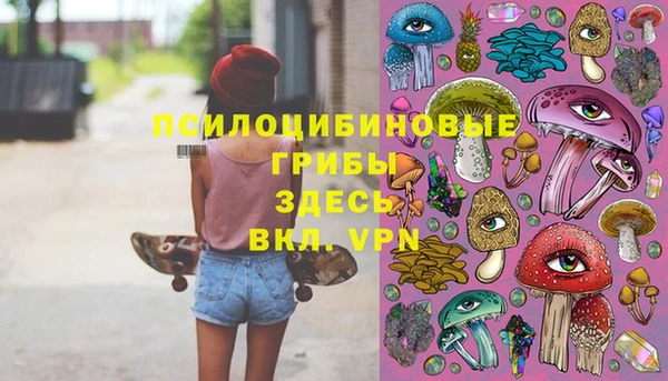 гидропоника Белоозёрский