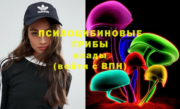 прущие крисы Сосновый Бор