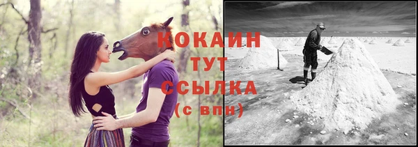кокс Белокуриха
