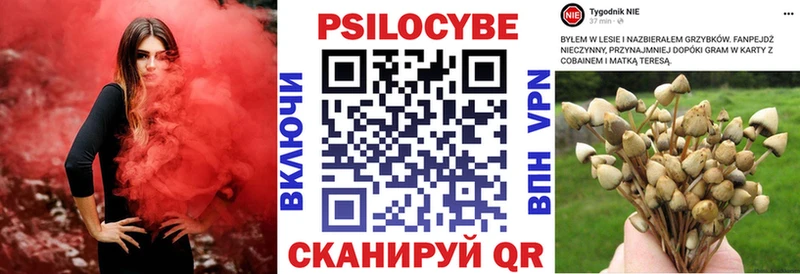 Псилоцибиновые грибы мицелий  даркнет сайт  Гудермес 