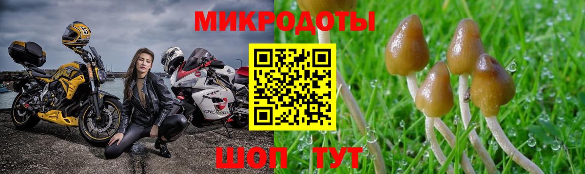 Псилоцибиновые грибы Magic Shrooms  Псилоцибиновые грибы Psilocybe  Гудермес  Вход с VPN 
